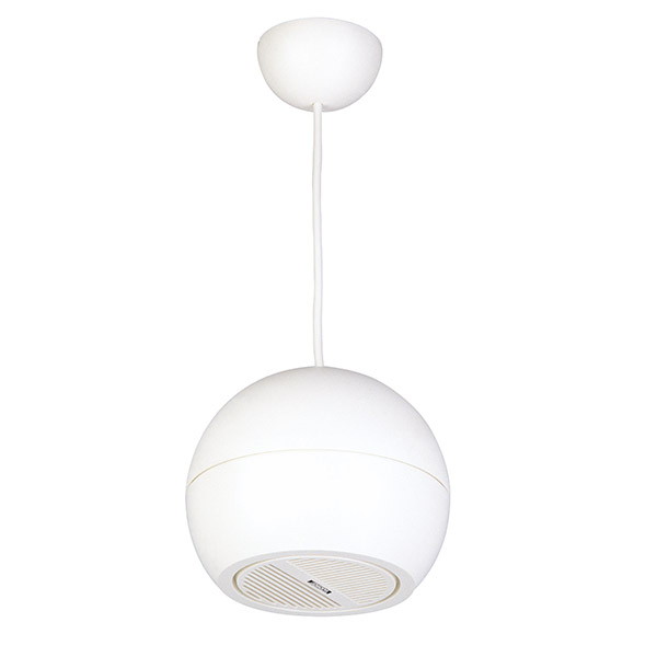 DSP107W Pendant Speakers Sound Projector